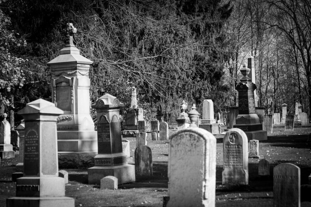 gray scale photo of cemetery