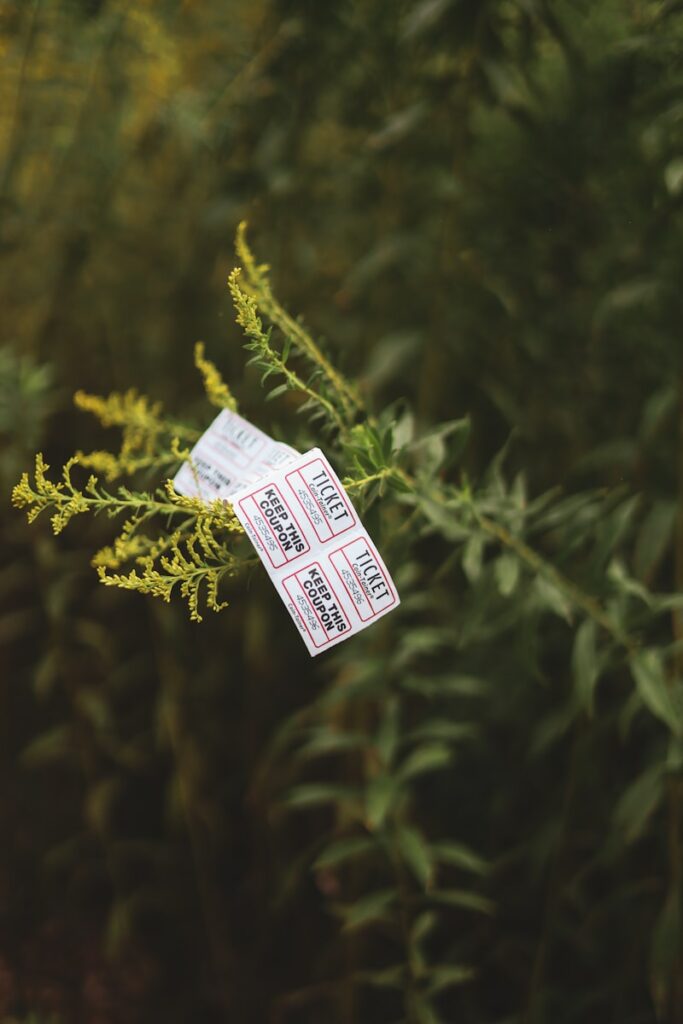 a close up of a plant with a tag on it